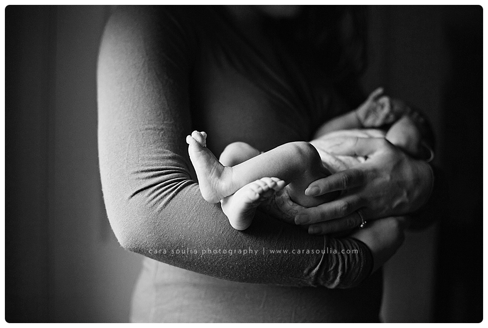 newborn portrait photographer south shore boston