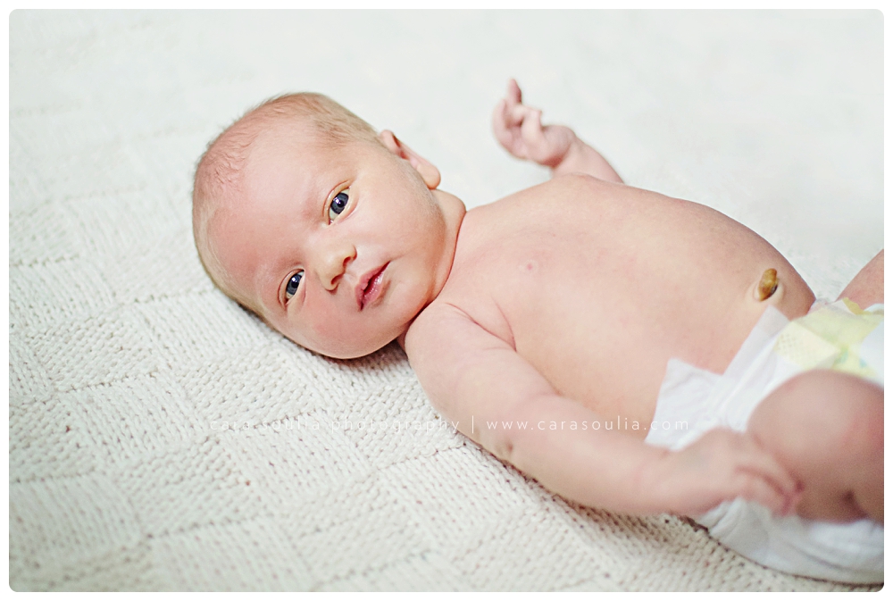 newborn portrait photographer massachusetts