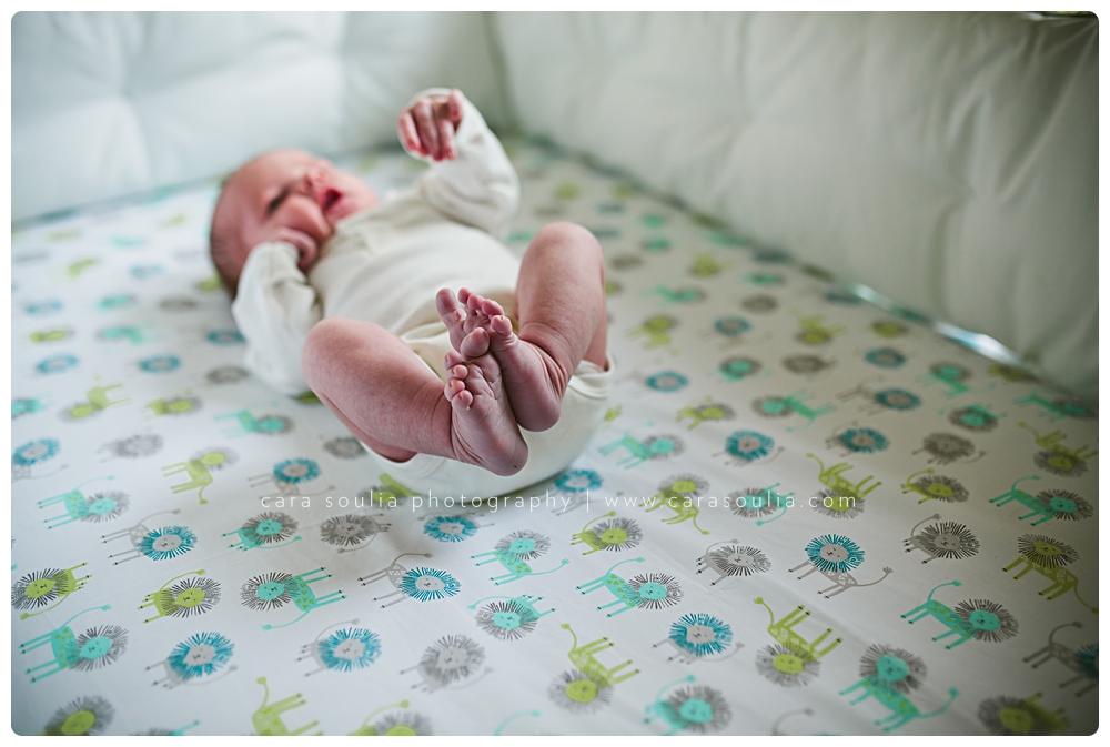 boston newborn photographer cara soulia details