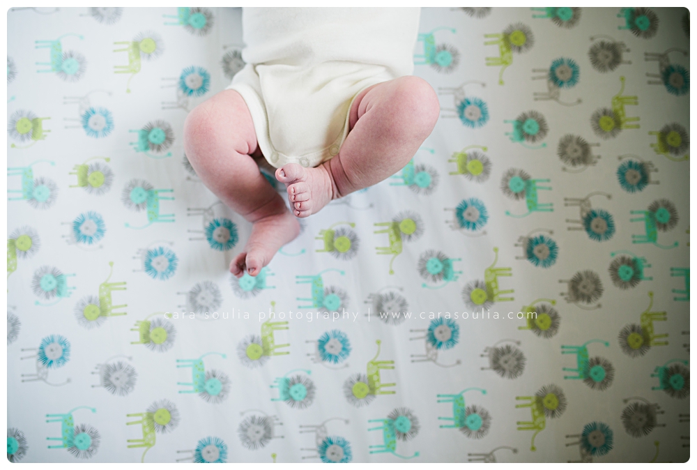 newborn photography details boston