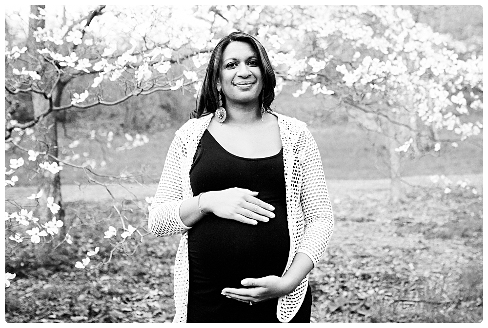 arnold arboretum maternity portraits