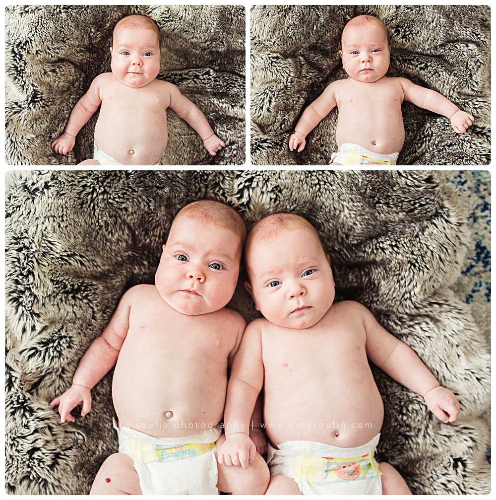 boston photographer for newborn twins