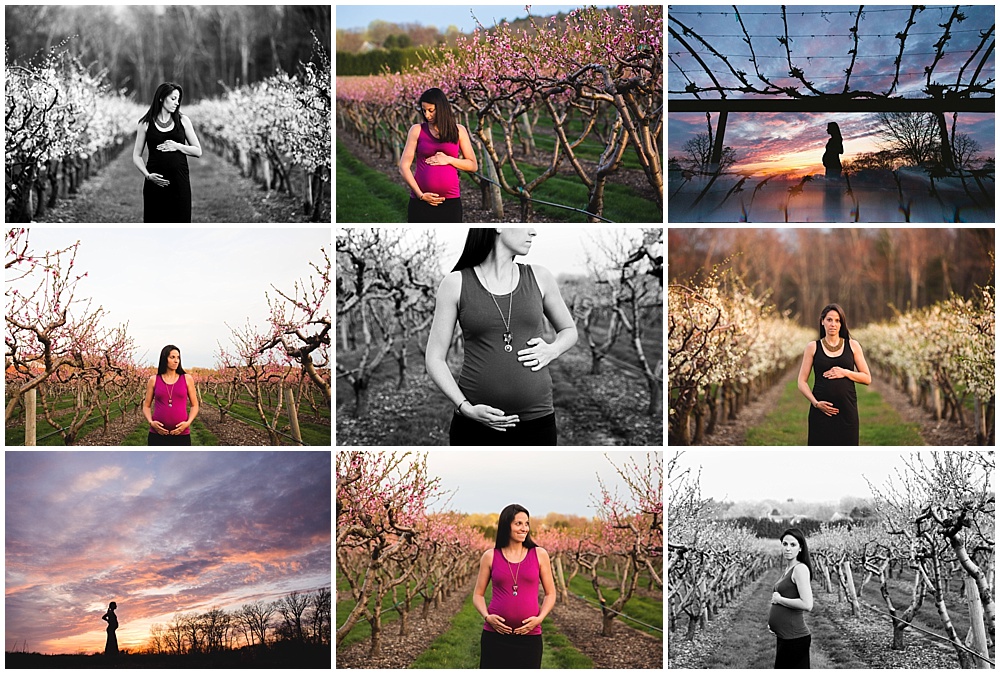 Orchard in Bloom | Needham Maternity Photographer