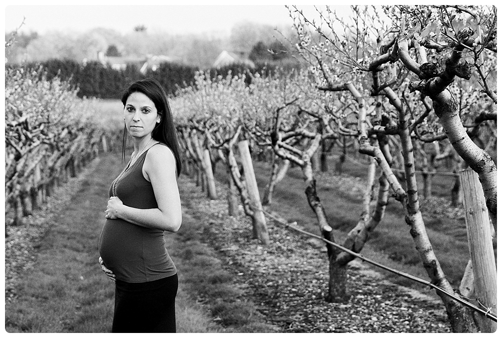 maternity photographer Boston Massachusetts