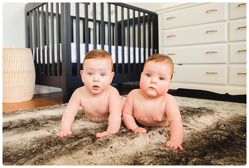 twin baby portraits photographer in massachusetts