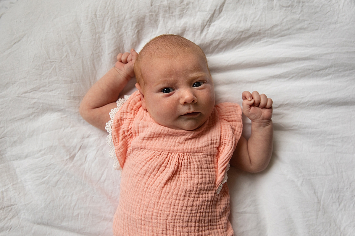 newborn by wellesley newborn photographer