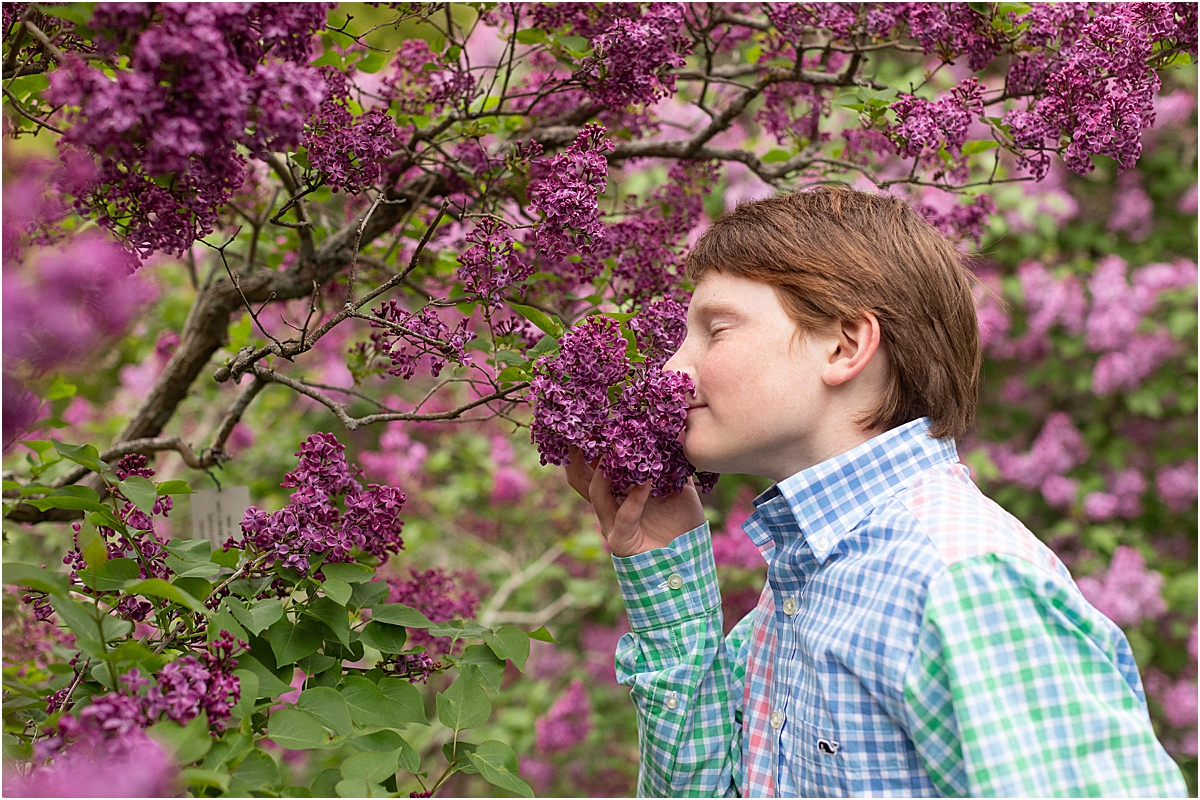 smelling the boston spring lilacs for a photo
